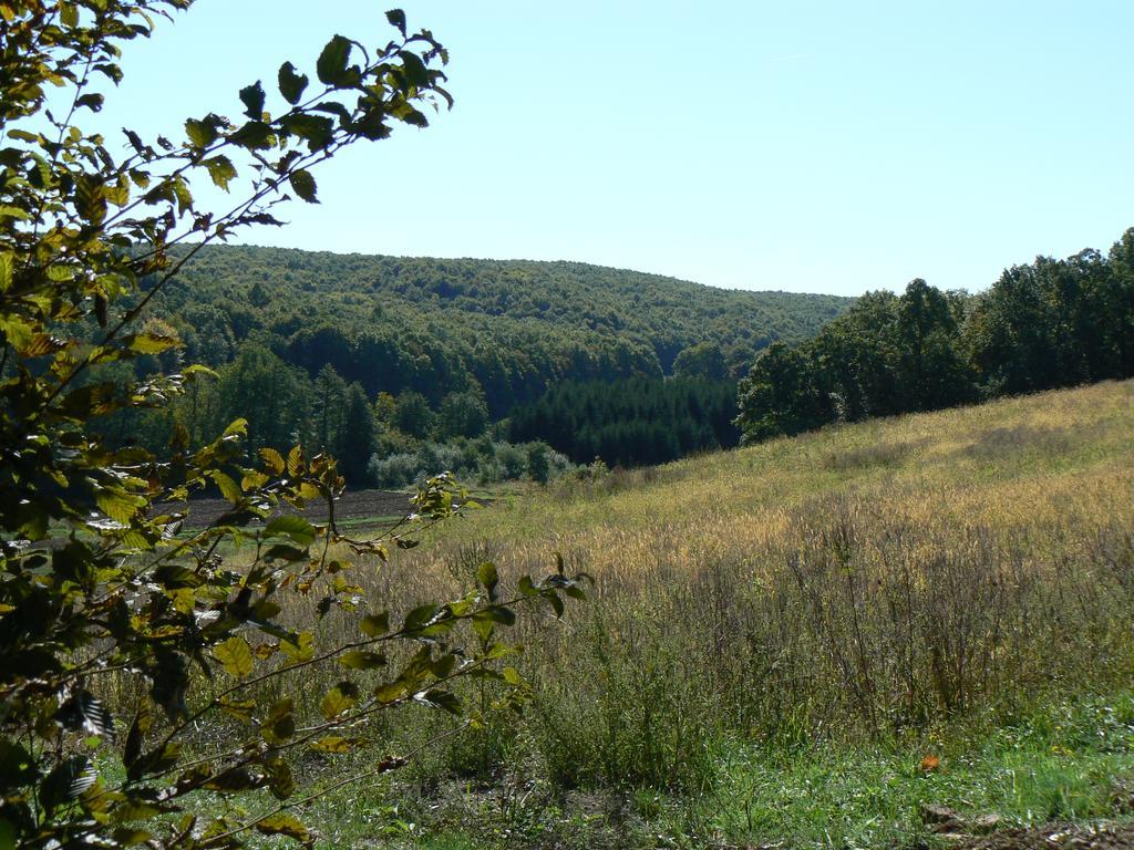 Country House Stoljetna Vila Seona Εξωτερικό φωτογραφία
