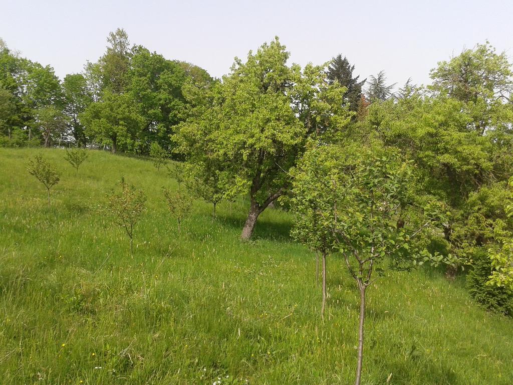 Country House Stoljetna Vila Seona Εξωτερικό φωτογραφία