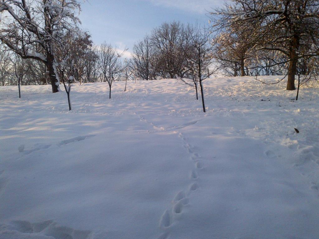 Country House Stoljetna Vila Seona Εξωτερικό φωτογραφία