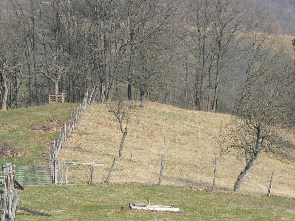 Country House Stoljetna Vila Seona Εξωτερικό φωτογραφία