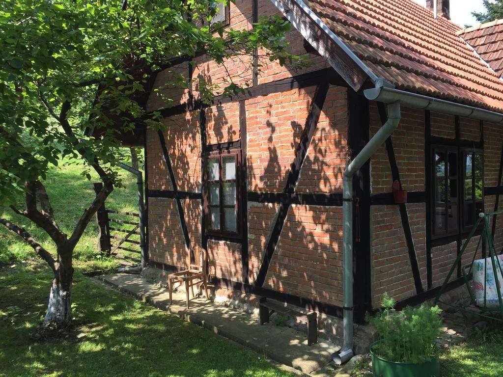 Country House Stoljetna Vila Seona Εξωτερικό φωτογραφία